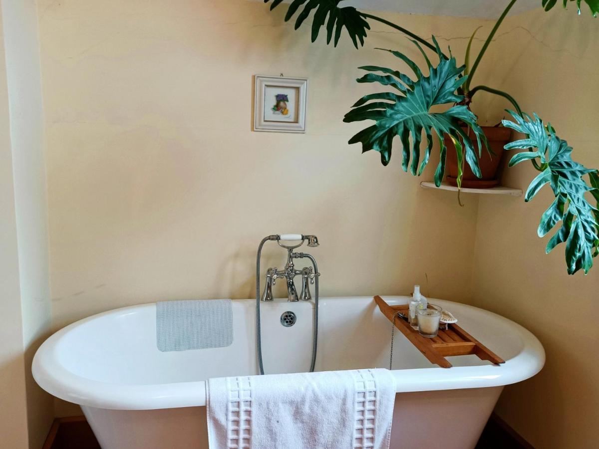 100 Year Old English Character House Hotell Timaru Eksteriør bilde